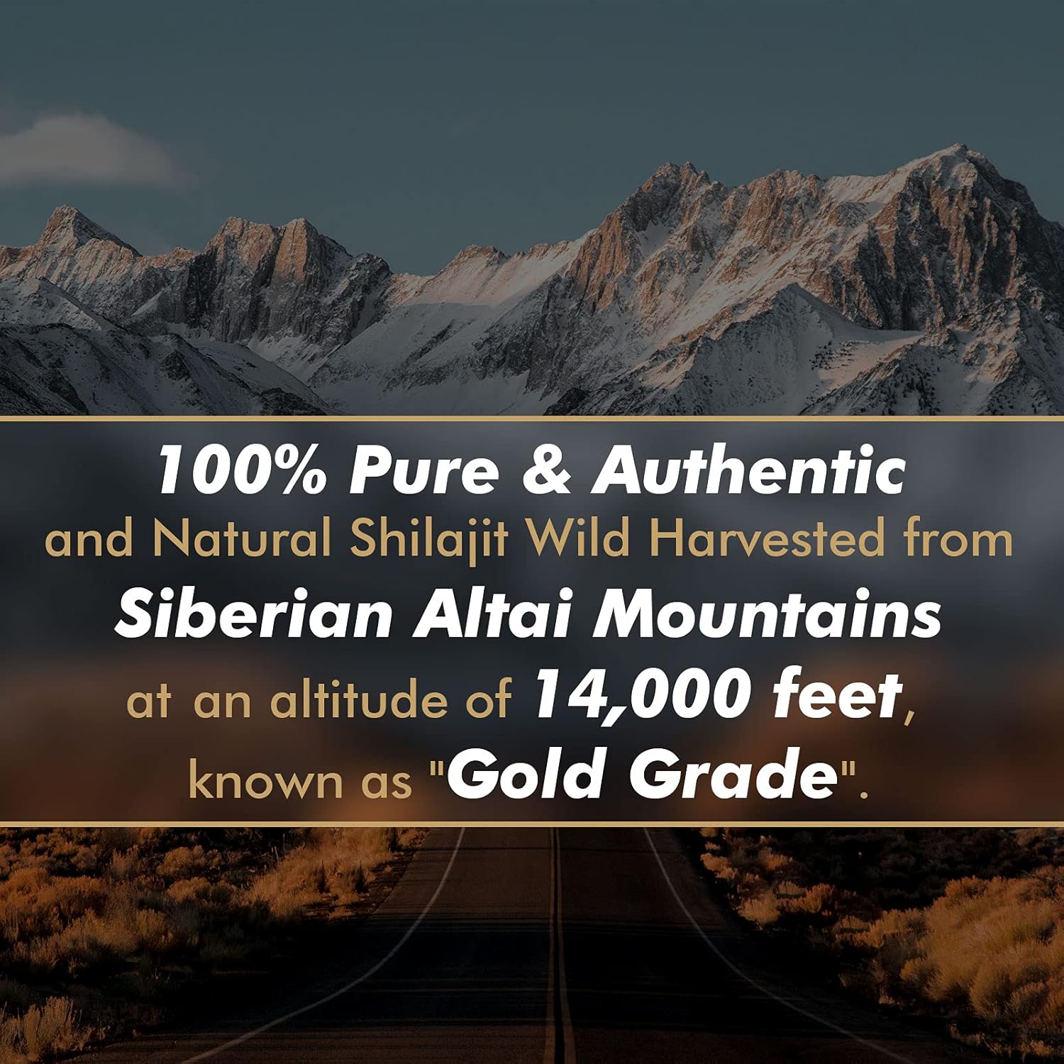 Résine de Shilajit Pure Origin - Shilajit Resin Pure avis et prix